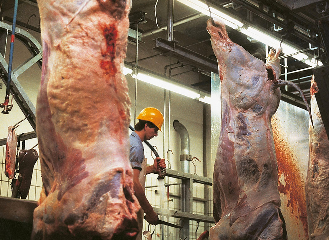 Meat Processing Industry