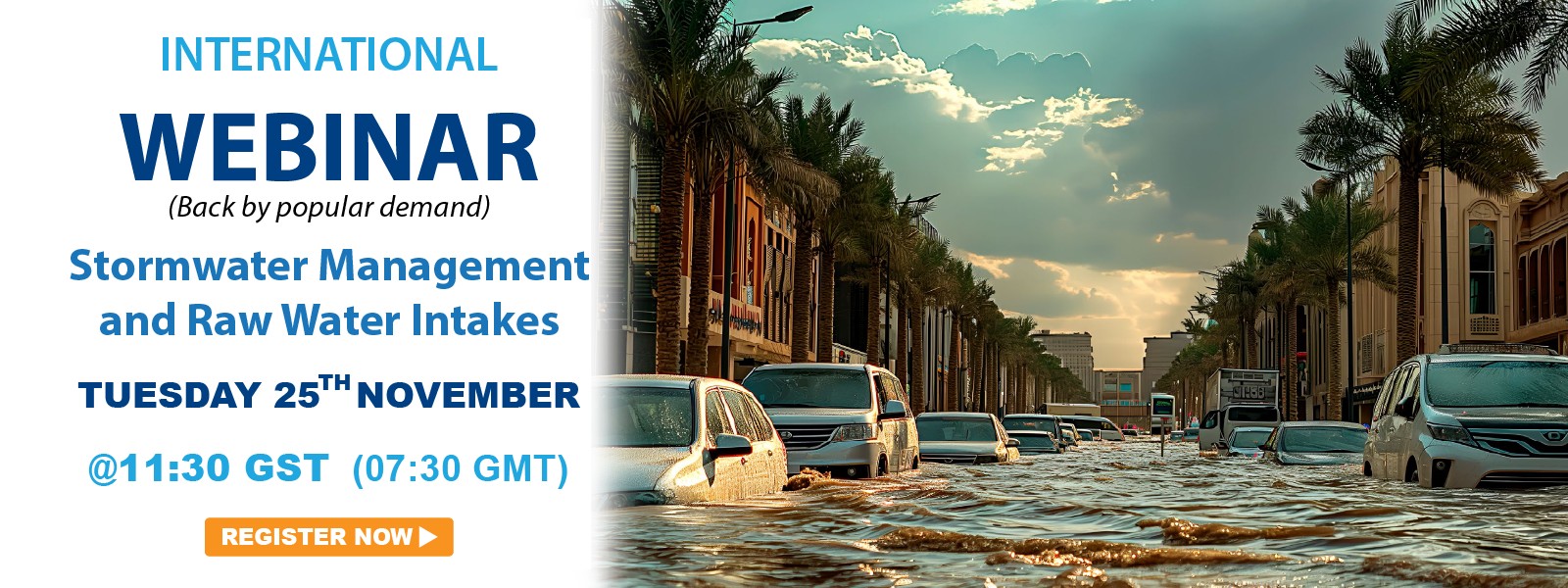 Stormwater Management and Raw Water Intakes