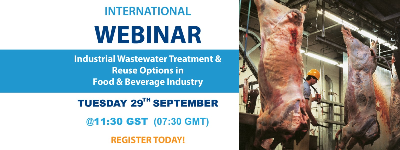 Webinar